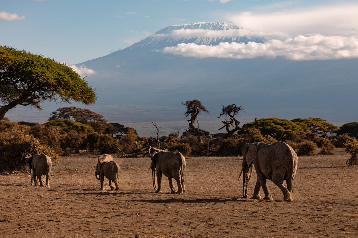 Kilimanjaro Unlimited