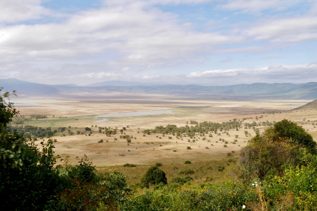 Ngorongoro Fortnight